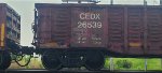 CEDX 26539